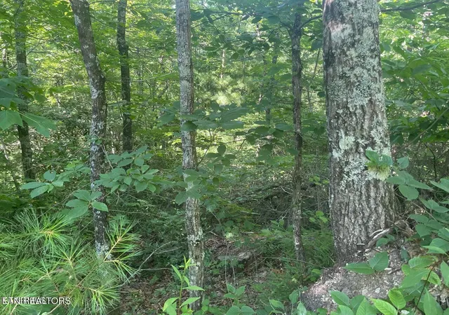 Photo 1 of Land for sale at Lot 71 Hazelnut Ln, Sevierville, TN 37876 | MLS# 1286027 | Listing updated on 2026-10-21