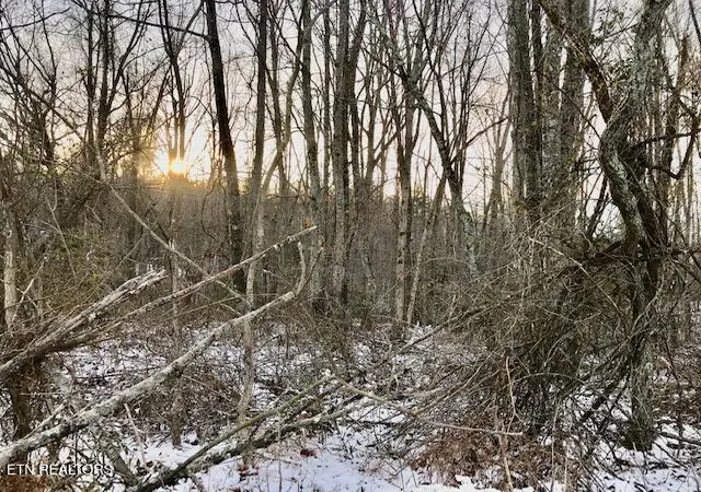 Photo 3 of Land for sale at 069 14500 Letner Rd, Helenwood, TN 37755 | MLS# 1288772 | Listing updated on 2026-01-13