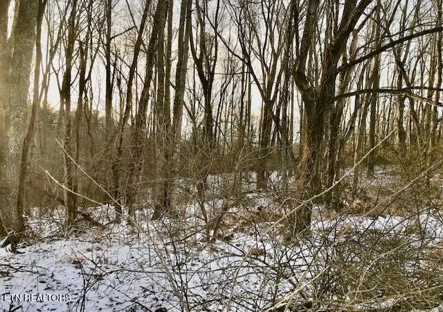 Photo 3 of Land for sale at 069 14500 Letner Rd, Helenwood, TN 37755 | MLS# 1288772 | Listing updated on 2026-01-13