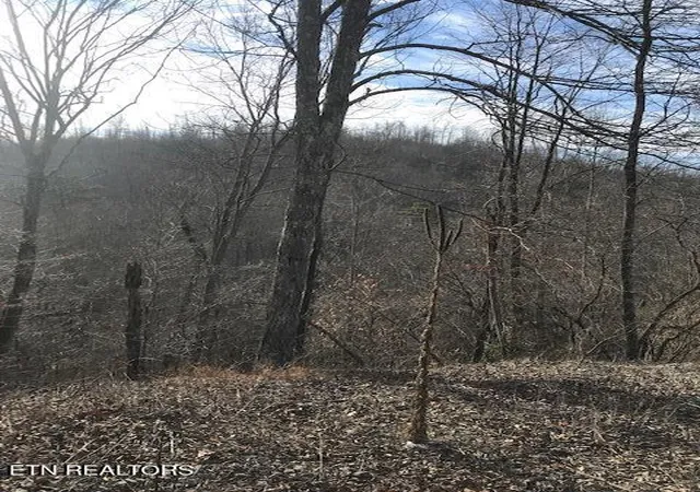 Homes for sale in Sunbright, TN | 019 00701 E Of Us Rt 27, Sunbright, TN 37872 | MLS# 1288510