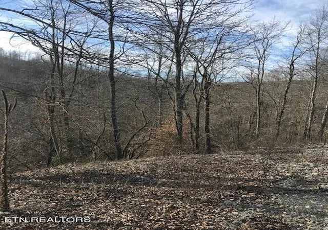 Homes for sale in Sunbright, TN | 019 00701 E Of Us Rt 27, Sunbright, TN 37872 | MLS# 1288510