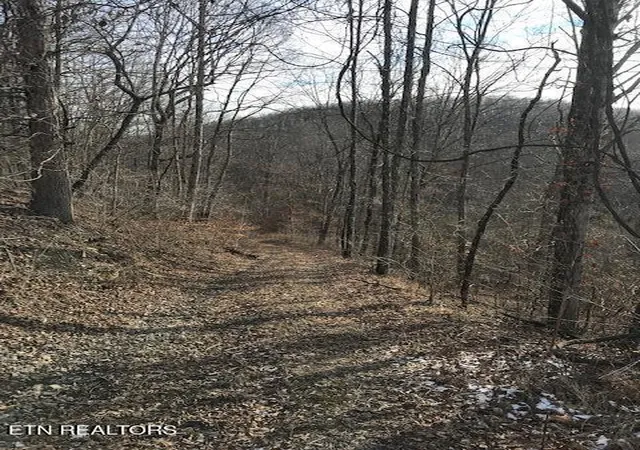 Homes for sale in Sunbright, TN | 019 00701 E Of Us Rt 27, Sunbright, TN 37872 | MLS# 1288510