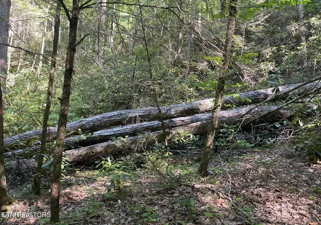 Photo 1 of Land for sale at Lot 6 Sycamore St, Sevierville, TN 37876 | MLS# 1287627 | Listing updated on 2026-10-21