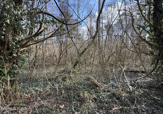 1st image of 918 Mccubbins Rd, Strawberry Plains, TN 37871 | MLS# 1292446