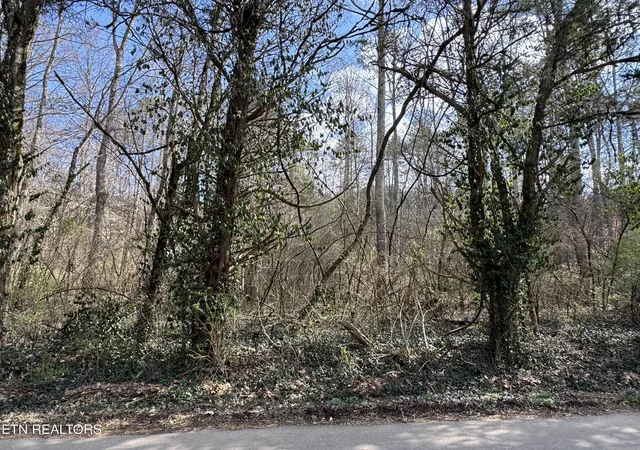 2nd image of 918 Mccubbins Rd, Strawberry Plains, TN 37871 | MLS# 1292446