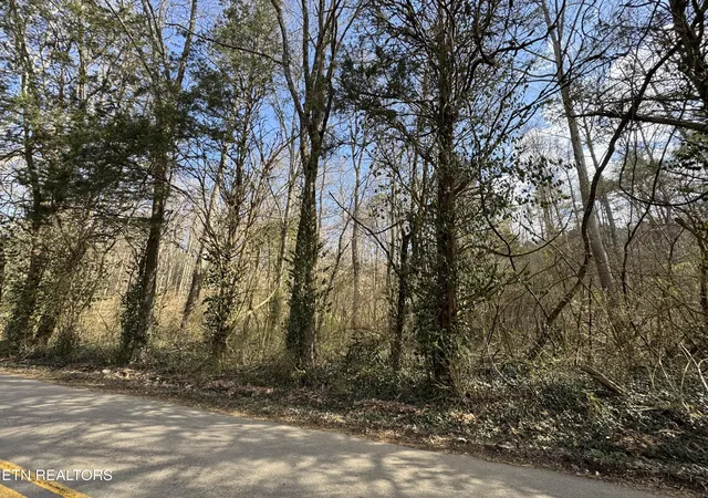 5th image of 918 Mccubbins Rd, Strawberry Plains, TN 37871 | MLS# 1292446