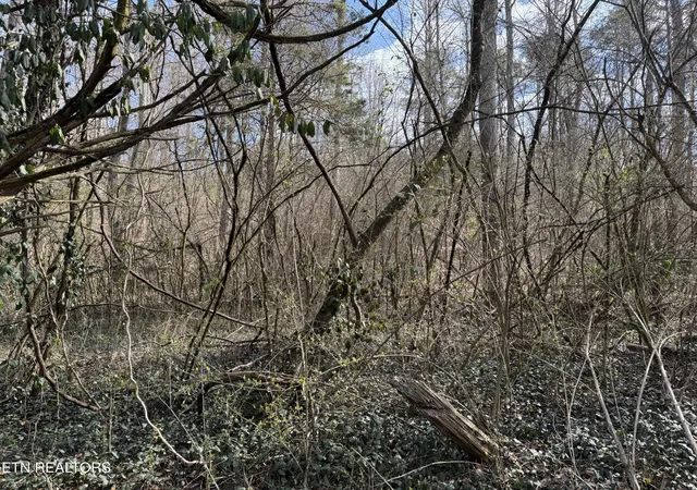 7th image of 918 Mccubbins Rd, Strawberry Plains, TN 37871 | MLS# 1292446