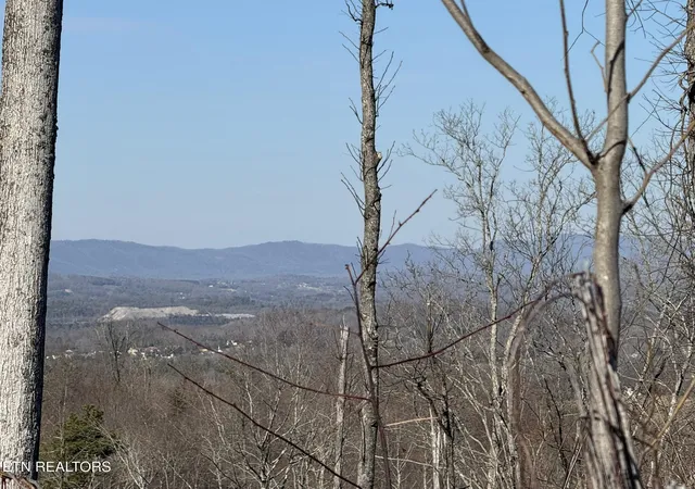 19th image of Mccubbins Rd, Strawberry Plains, TN 37871 | MLS# 1292444