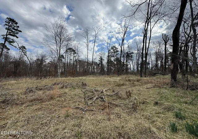 Photo 4 of Land for sale at Mccubbins Rd, Strawberry Plains, TN 37871 | MLS# 1292444 | Listing updated on 2025-09-29
