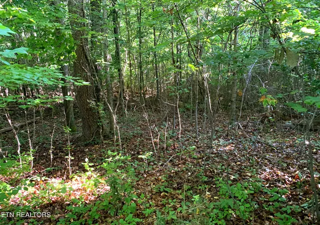 4th image of Lake City Hwy, Clinton, TN 37716 | MLS# 1288115