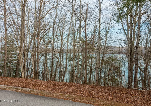 Homes for sale in Rockwood, TN | Lot 127 Thief Neck Dr, Rockwood, TN 37854 | MLS# 1289158