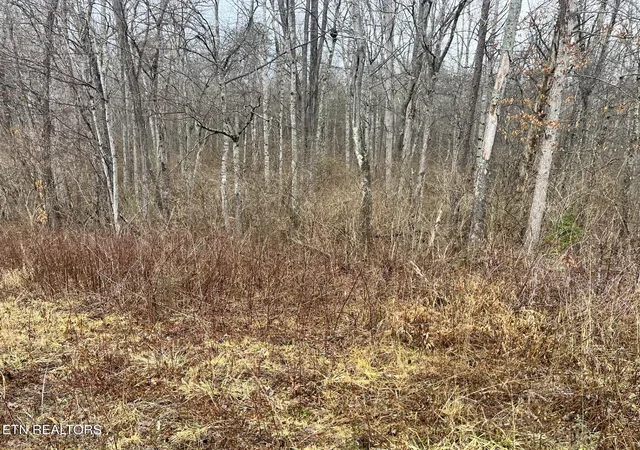 Photo 4 of Land for sale at S Main St 3056 Acres, Crossville, TN 38555 | MLS# 1289341 | Listing updated on 2026-07-22