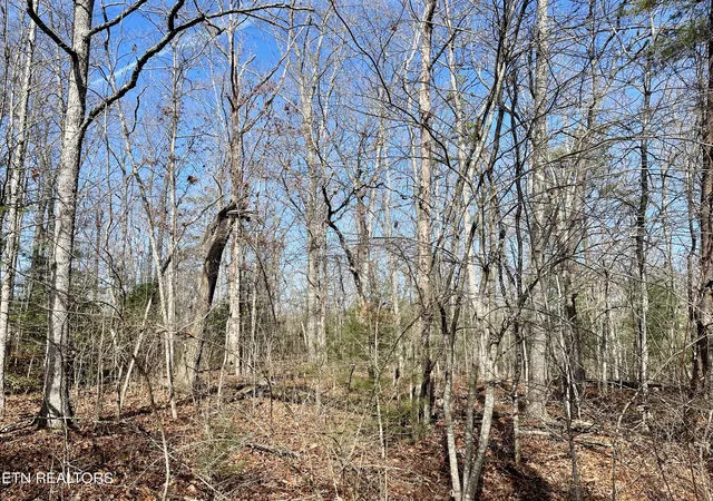 Photo 1 of Land for sale at 44 Rusham Cir, Crossville, TN 38571 | MLS# 1289580 | Listing updated on 2026-02-03