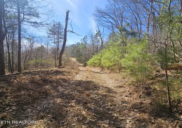 Photo 2 of Land for sale at 0 Lick Creek Rd, Tellico Plains, TN 37385 | MLS# 1292442 | Listing updated on 2026-09-10