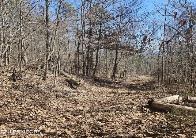 Photo 3 of Land for sale at 0 Lick Creek Rd, Tellico Plains, TN 37385 | MLS# 1292442 | Listing updated on 2026-09-10