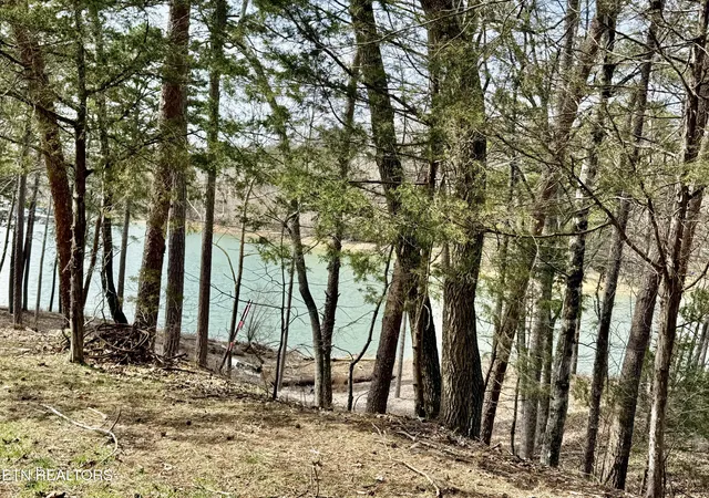 9th image of Summer Breeze Ln, New Tazewell, TN 37825 | MLS# 1293139