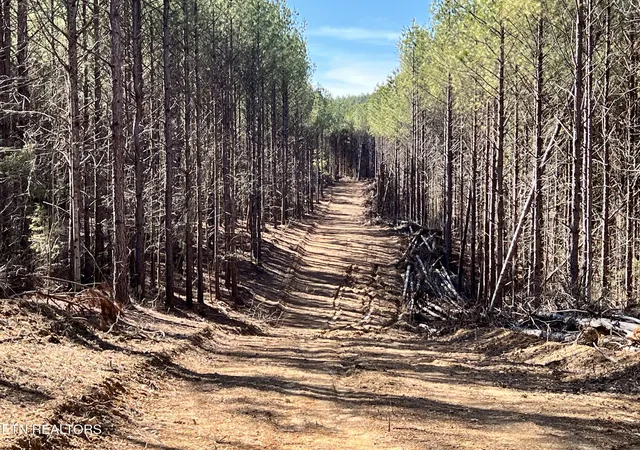 1st image of Lot 18 Sam Davis Road, Decatur, TN 37322 | MLS# 1293559