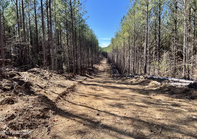 7th image of Lot 18 Sam Davis Road, Decatur, TN 37322 | MLS# 1293559