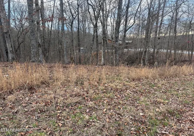 Photo 4 of Land for sale at Lot 2 Indian Shadows Dr, Ten Mile, TN 37880 | MLS# 1293736 | Listing updated on 2026-07-21