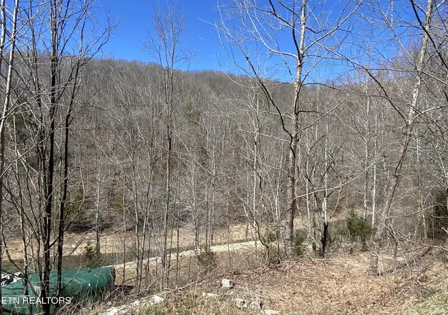 Photo 3 of Land for sale at River Ridge Rd Tract 1, Maynardville, TN 37807 | MLS# 1294365 | Listing updated on 2026-09-24