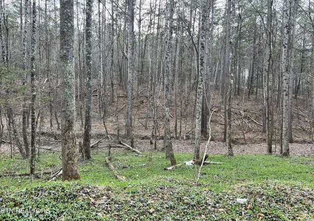 1st image of Butler Road Lot 4, Decatur, TN 37322 | MLS# 1297257