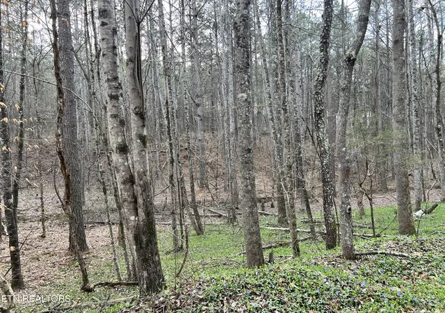 2nd image of Butler Road Lot 4, Decatur, TN 37322 | MLS# 1297257