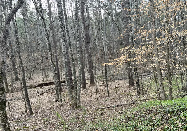 4th image of Butler Road Lot 4, Decatur, TN 37322 | MLS# 1297257