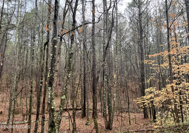 7th image of Butler Road Lot 4, Decatur, TN 37322 | MLS# 1297257
