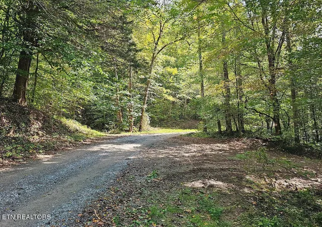 1st image of 118ac Mill Hollow Rd, Tazewell, TN 37879 | MLS# 1294419