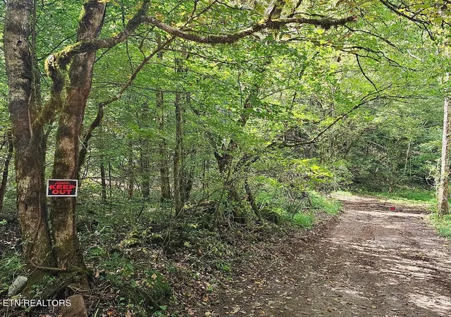 2nd image of 118ac Mill Hollow Rd, Tazewell, TN 37879 | MLS# 1294419