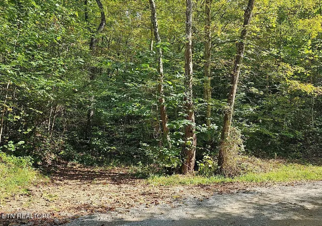 Photo 3 of Land for sale at 118ac Mill Hollow Rd, Tazewell, TN 37879 | MLS# 1294419 | Listing updated on 2026-06-28
