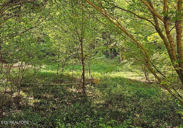 Photo 3 of Land for sale at 118Ac Mill Hollow Rd, Tazewell, TN 37879 | MLS# 1294419 | Listing updated on 2026-06-28