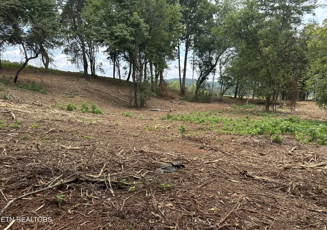Photo 4 of Land for sale at 4802 Old Dogwood Tr, Loudon, TN 37774 | MLS# 1295418 | Listing updated on 2026-10-08