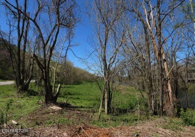 4th image of 2 Cherohala Skyway, Tellico Plains, TN 37385 | MLS# 1297040