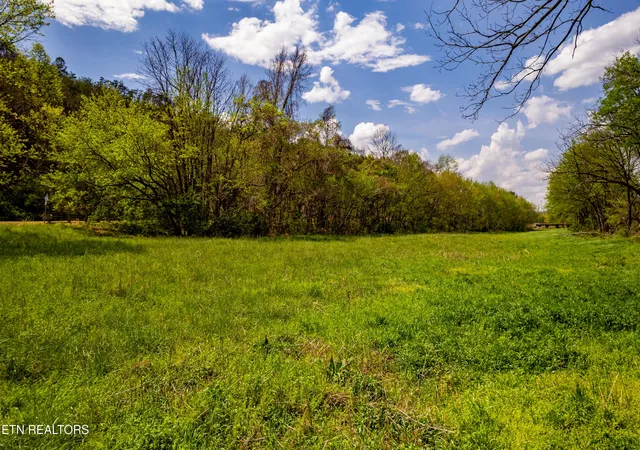 48th image of 2 Cherohala Skyway, Tellico Plains, TN 37385 | MLS# 1297040
