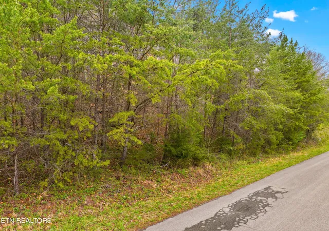 Photo 3 of Land for sale at 0 English Flds Dr, Newport, TN 37821 | MLS# 1295842 | Listing updated on 2026-04-01
