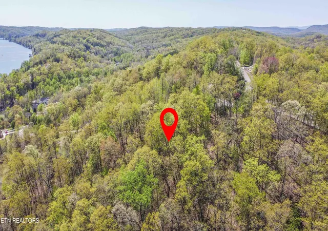 Photo 3 of Land for sale at 42 Eerie Point, Rockwood, TN 37854 | MLS# 1296810 | Listing updated on 2026-04-15