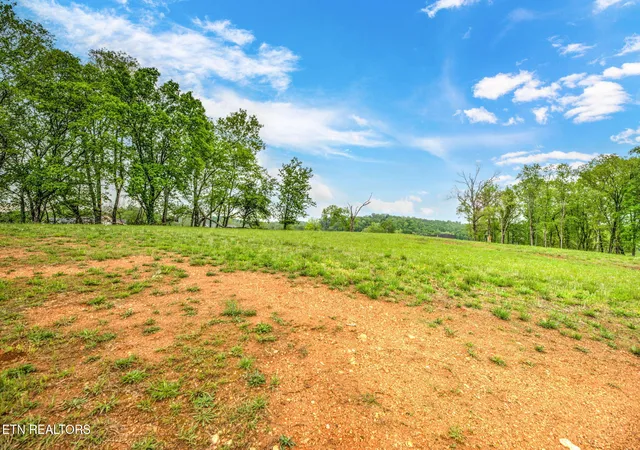4th image of 112 Silver Fox Way, Loudon, TN 37774 | MLS# 1296302