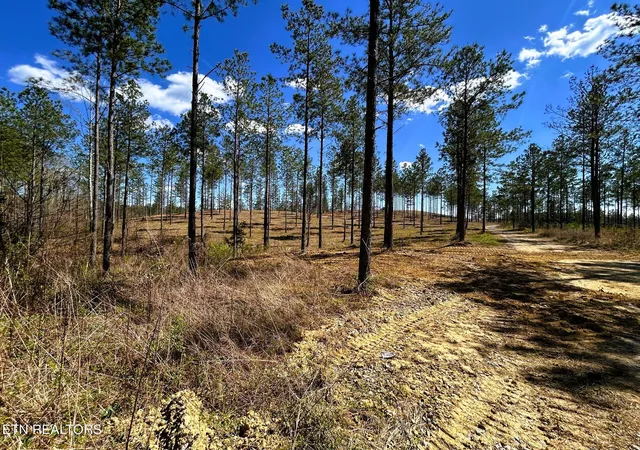 4th image of Tract 26A Hughes Lake Road Se, Cleveland, TN 37323 | MLS# 1296603