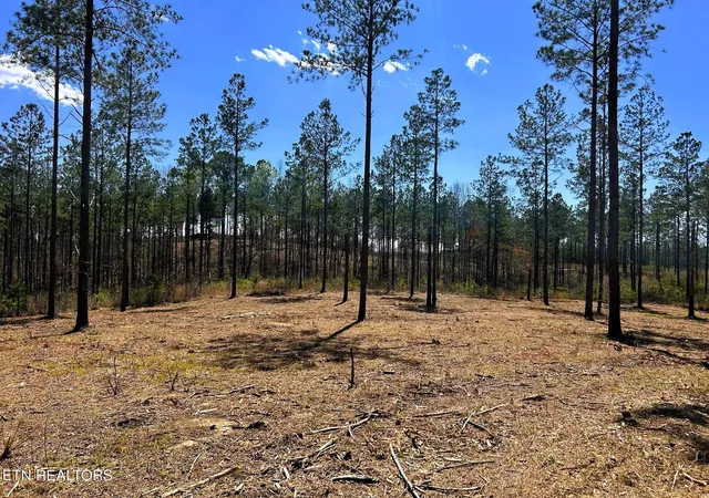 10th image of Tract 26b Hughes Lake Road Se, Cleveland, TN 37323 | MLS# 1296604