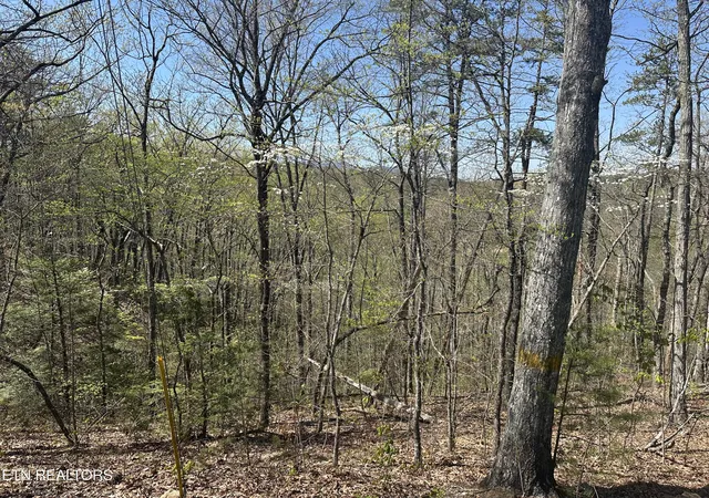 Photo 3 of Land for sale at 1532 Mountain Dreams Way, Sevierville, TN 37862 | MLS# 1296892 | Listing updated on 2026-04-08