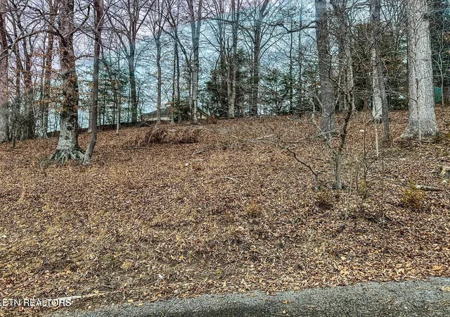 7th image of Madison Cir, Harrogate, TN 37752 | MLS# 1333409