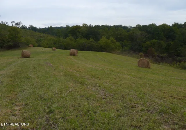 1st image of 132 Acres Leabow Hollow Rd, Tazewell, TN 37879 | MLS# 1298302