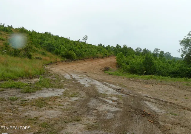 23rd image of 132 Acres Leabow Hollow Rd, Tazewell, TN 37879 | MLS# 1298302