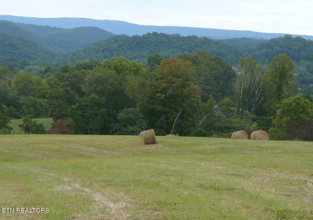 Photo 3 of Land for sale at 132 Acres Leabow Hollow Rd, Tazewell, TN 37879 | MLS# 1298302 | Listing updated on 2026-04-17