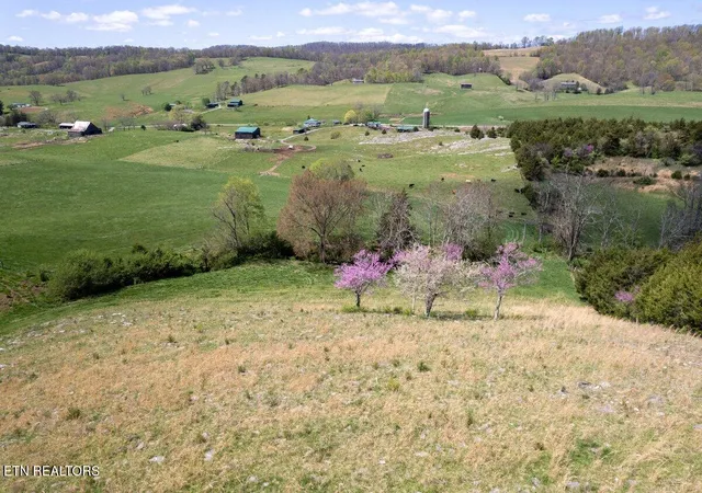Photo 3 of Land for sale at Tbd Little Sycamore Rd, Tazewell, TN 37879 | MLS# 1298415 | Listing updated on 2026-07-14
