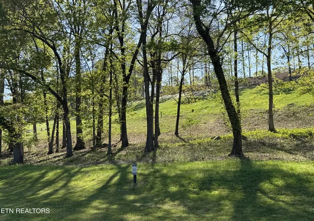 Photo 1 of Land for sale at 1031 Black Cove Ln, Loudon, TN 37774 | MLS# 1299018 | Listing updated on 2025-04-28