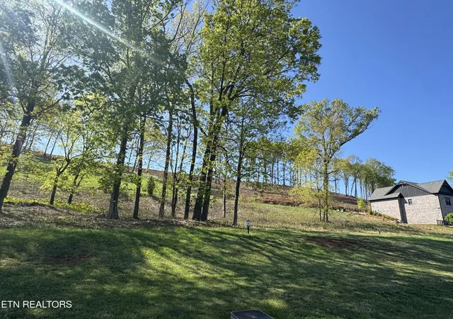 Photo 3 of Land for sale at 1031 Black Cove Ln, Loudon, TN 37774 | MLS# 1299018 | Listing updated on 2025-04-28