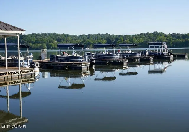 Photo 3 of Land for sale at 1097 Black Cove Ln, Loudon, TN 37774 | MLS# 1299023 | Listing updated on 2025-04-28