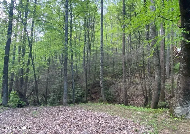 Photo 1 of Land for sale at Lot 26 Alpine Dr, Sevierville, TN 37876 | MLS# 1299890 | Listing updated on 2026-10-21